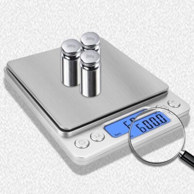 Somnr 1000g/ 0.1g Small Pocket Jewelry Scale, Digital Kitchen Scale with 2 Trays, Stainless Steel Gram Scales Weight Gram and Oz, Digital Herb Scale, Silver