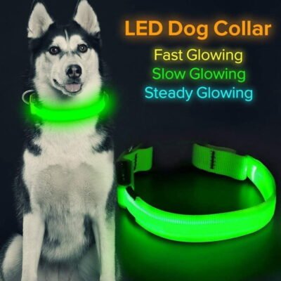 Led Lighted Up Dog Collar Flashing 100% Waterproof USB Rechargeable Pet Dog Safety Collar Glow in The Dark Light-up Neck Loop GREEN(16.14IN-20.47IN)