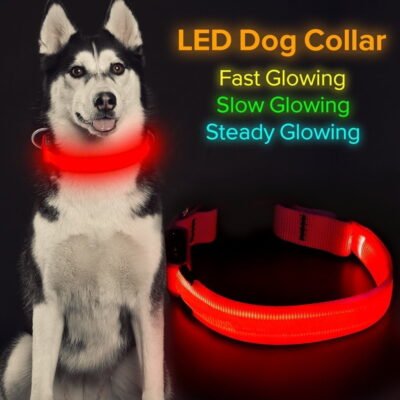 Led Lighted Up Dog Collar Flashing 100% Waterproof USB Rechargeable Pet Dog Safety Collar Glow in The Dark Light-up Neck Loop RED(13.38IN-16.14IN)